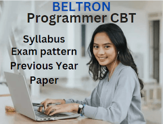 BELTRON Programmer