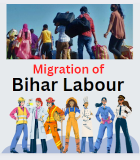 Bihar Labour Migrants Migration of Labour